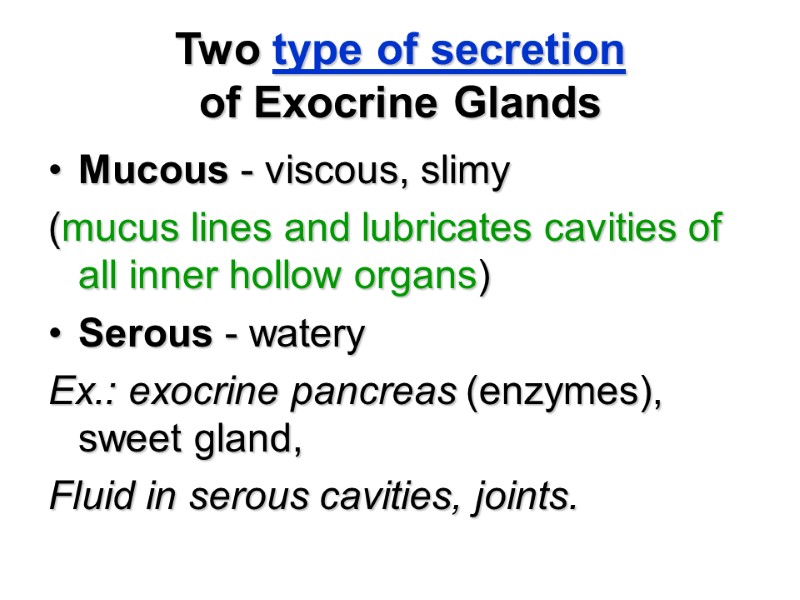 Two type of secretion  of Exocrine Glands  Mucous - viscous, slimy (mucus